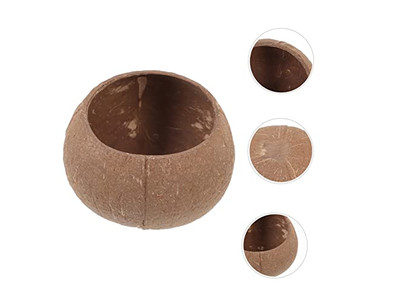 Kokosnussschale Großhandelsverpackung für Getränke aus einem Set von 2 Schalen