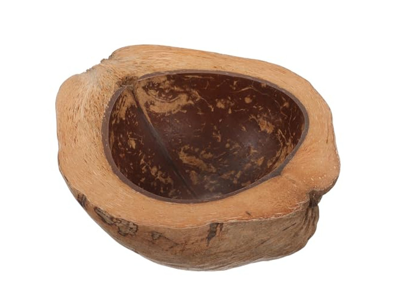 Gehäutete Kokosnüsse Weihnachtskerze Muschelschale Holzdocht Bunte Kerzen Eiscreme
